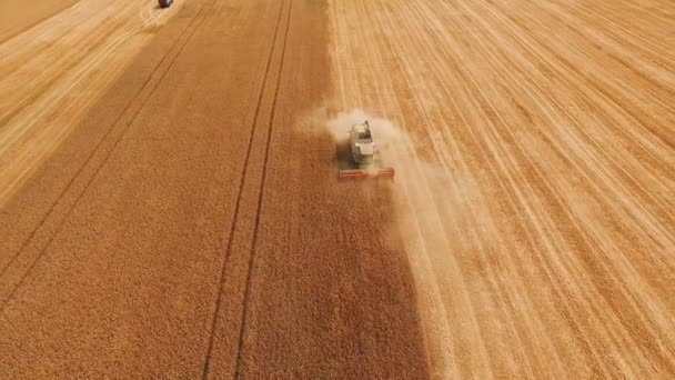Два комбайна собирают пшеничное поле, вид с воздуха. 4k — стоковое видео