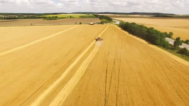Vista aérea da ceifeira-debulhadora reúne a cultura do trigo em 4k — Vídeo de Stock