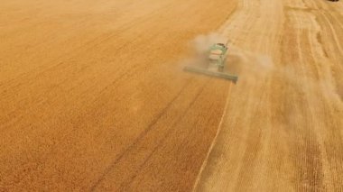 Buğday hasat ile havadan görünümü birleştirmek 4 k