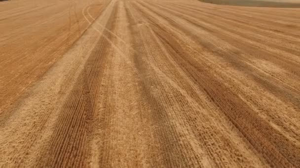 Vista aérea de los campos inclinados en 4K — Vídeo de stock