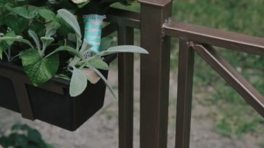 Garden yakınındaki bir balkonda bir düğün buketi