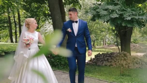 Елегантна весільна пара, що йде по алеї в парку — стокове відео