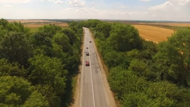 Aerial view of cars moving on two lane road in forest. 4K — Stock Video