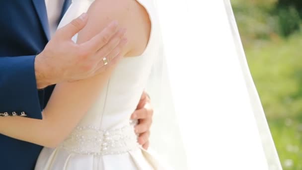 Close up of groom embracing bride on nature — Stock Video