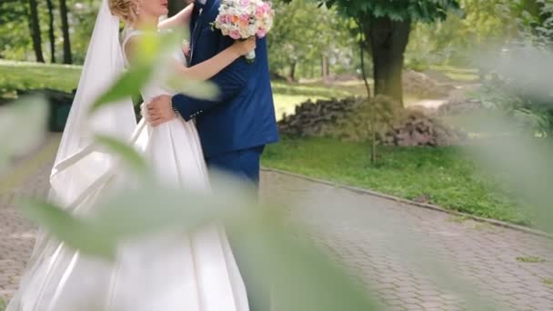 Свадебная пара обнимается на аллее в парке — стоковое видео