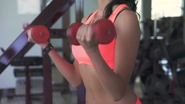 Профиль женщины, занимающейся тяжелой атлетикой в спортзале — стоковое видео