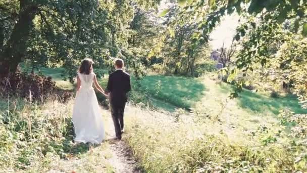 Una feliz pareja de casados caminan juntos por el parque. Despacio. — Vídeos de Stock