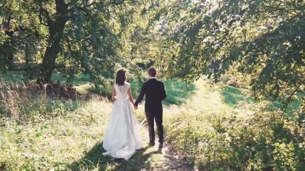 Una coppia sposata passeggia insieme nel parco. Lentamente. — Video Stock