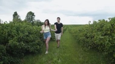 Frenk üzümü tarlasında gezen sevimli çift, ellerinde bükümlerle