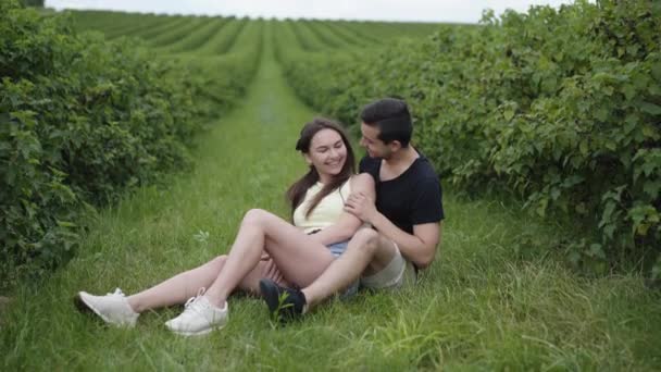 Gelukkige paar rusten in omhelzingen en kussen tussen de bessen plantage. 4K — Stockvideo