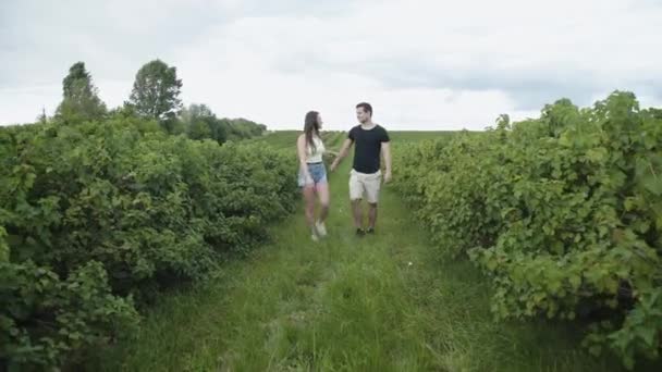 Feliz novia conduce su hombre en abrazos entre grosella plantación — Vídeos de Stock