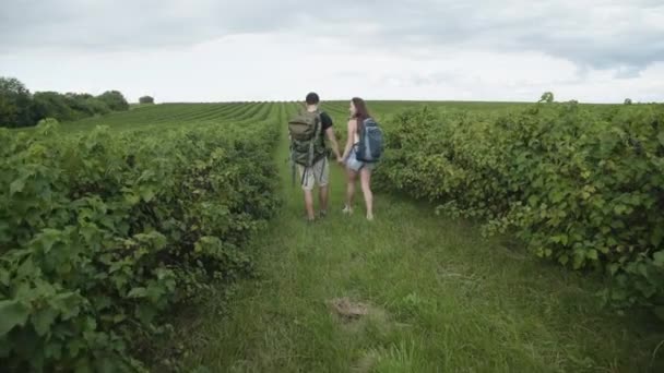 Happy couple of tourists walks with rucksacks and watching on currant plantation — Stock Video