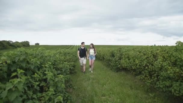 Preciosa pareja camina con mochilas y viendo en la plantación de grosella — Vídeos de Stock