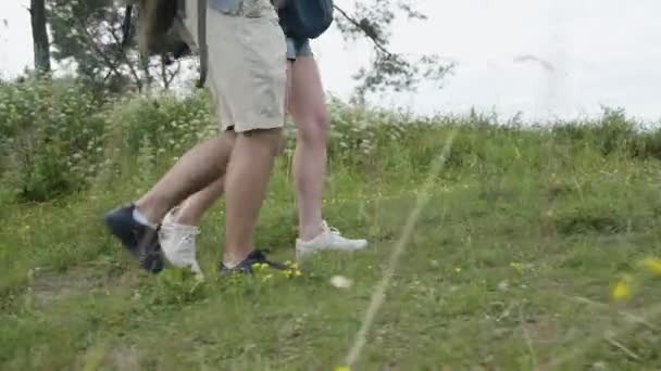 Unrecognizable male and female legs walk on wild nature path — Stock Video