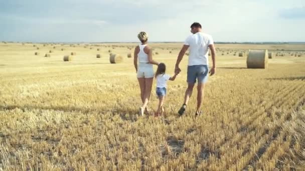 I genitori felici tengono per mano la figlia e camminano in un enorme campo estivo — Video Stock