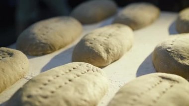Yaprakların üzerinde taze pişmiş organik ekmeklerin ışığın altında yatışının yakın görüntüsü