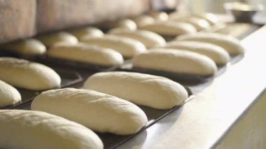 Çiğ somun ekmek hazırlama ve bunları fırına konveyör ile yükleme işlemi
