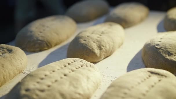 Szoros rálátás frissen sült organikus kenyerekre az asztalon, fény alatt fekvő kovászon — Stock videók