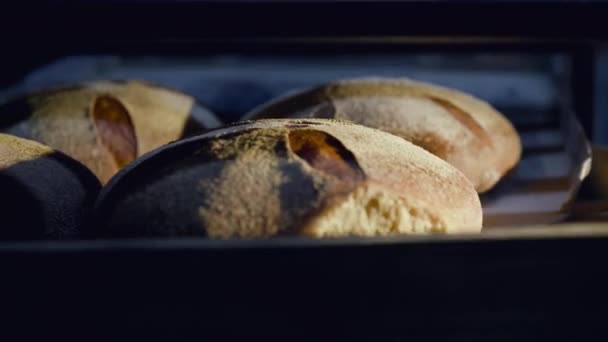 Погрузка хлеба в печь вручную на хлебопекарной фабрике — стоковое видео
