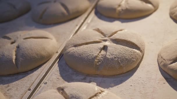 Achtergrond van vers gebakken broden smakelijk brood op tafel onder licht in de bakkerij — Stockvideo