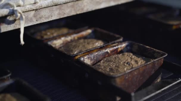 Příprava žitného chleba ve formách během pekařského procesu v továrně — Stock video