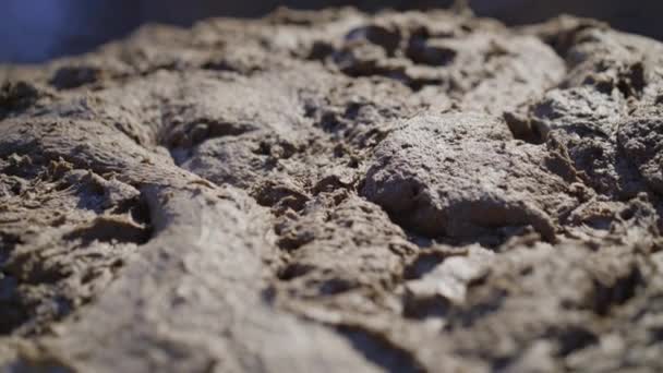 Close view of fermentation of rye dough with bran in a bowl — Stock Video