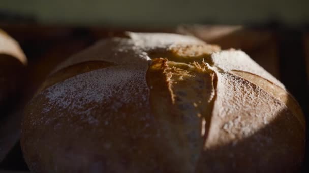 Vista próxima de pão redondo de centeio recém-assado com farelo de cereais — Vídeo de Stock