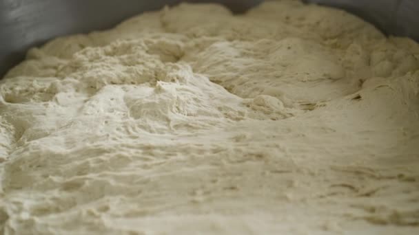 Una vista de cerca de la masa de levadura de harina de trigo se infunde antes de hornear pan — Vídeo de stock