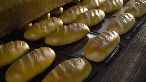 Вид конвеєра з лотками зі свіжоспеченими пшеничними хлібами на хлібопекарському заводі — стокове відео