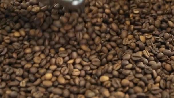 Vista próxima da mistura e moagem de grãos de café torrados com equipamento — Vídeo de Stock