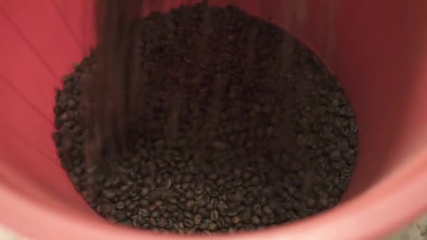 Chicchi di caffè preparati che cadono dalla macchina da caffè professionale in ciotola — Video Stock