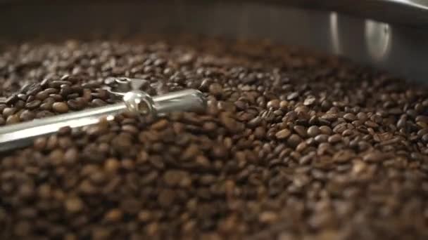 用设备搅拌和研磨烤咖啡豆的工艺.慢慢地 — 图库视频影像