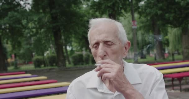 Portret van een attente opa die in de zomer een eenzame sigaret rookt op een bankje in het park — Stockvideo