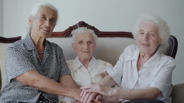 Three cute grandmothers sitting on sofa, putting hands on hands and smiling — стоковое видео