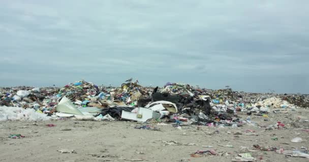 Wysypisko odpadów z latającymi bocianami pod zachmurzonym niebem — Wideo stockowe