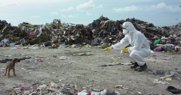 Virologe in Spezialkleidung ruft obdachlosen Welpen in der Nähe einer riesigen Mülldeponie — Stockvideo