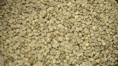 Taze kahve çekirdekleri.