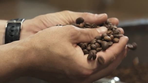 Mužské ruce brát mnoho kávových zrn z mlýnku na zkoumání — Stock video