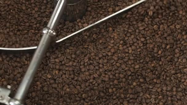 Vista superior de mezclar y moler granos de café tostados con equipo — Vídeo de stock