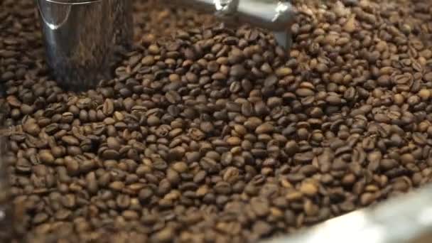 Vista próxima da mistura e moagem de grãos de café torrados com equipamento — Vídeo de Stock