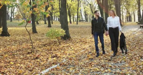 Ευτυχισμένο ζευγάρι ερωτευμένο με τα πόδια, κρατώντας το χέρι στο χέρι και φιλιά στο πάρκο φθινόπωρο — Αρχείο Βίντεο