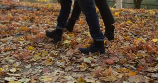 Schlechte Sicht auf ein Paar bei einem romantischen Spaziergang im Herbstpark mit goldenen Blättern — Stockvideo