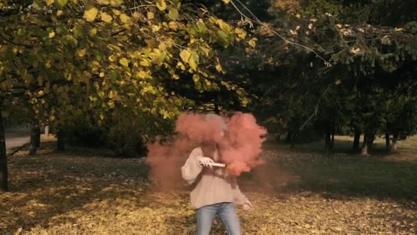 Retrato de menina inteligente posa no parque com fogos coloridos — Vídeo de Stock