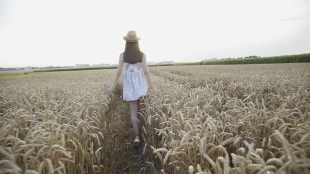 Jongedame in jurk en hoed loopt tussen gouden tarwe veld en raakt oren — Stockvideo