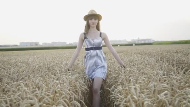 Pani idzie do kamery wśród złotego pola pszenicy i dotyka uszu — Wideo stockowe