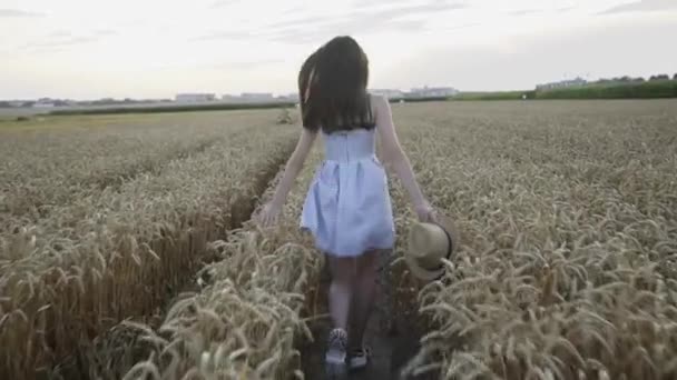 Zorgeloos meisje rennen in tarweveld, draaien en glimlachen op de camera — Stockvideo