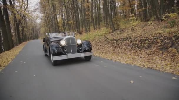 Widok retro jazdy kabrioletem w jesiennym lesie — Wideo stockowe