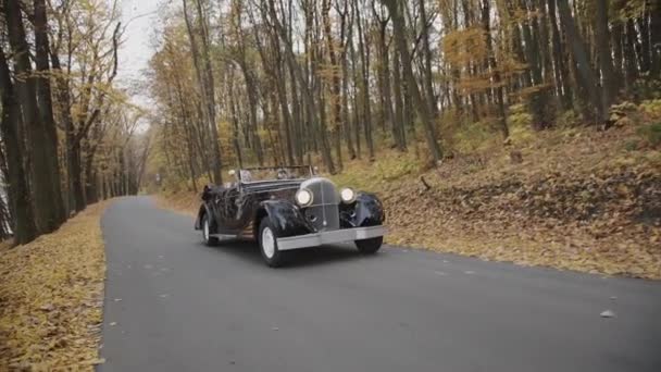 Vista del cabriolet retro con el hombre y la mujer cabalgando en el bosque de otoño — Vídeos de Stock