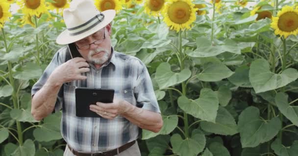 Senior boer praten op mobiele telefoon en het gebruik van tablet op zonnebloemen achtergrond — Stockvideo