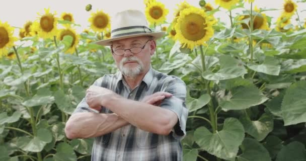 Boer met bril in hoed kruising handen en glimlachen naar de camera bij zonnebloemen — Stockvideo